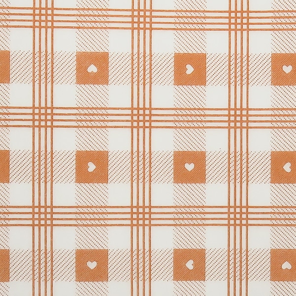 TIROLO – Tovaglie coprimacchia monouso - 100×150